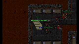 Tibia Wars