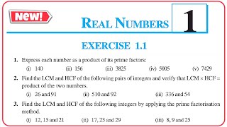 Class 10 Maths Ex 1.1 Q.1 to Q.3 | Real Numbers Chapter 1 | NCERT Solutions Ex 1.1 | CBSE Board 