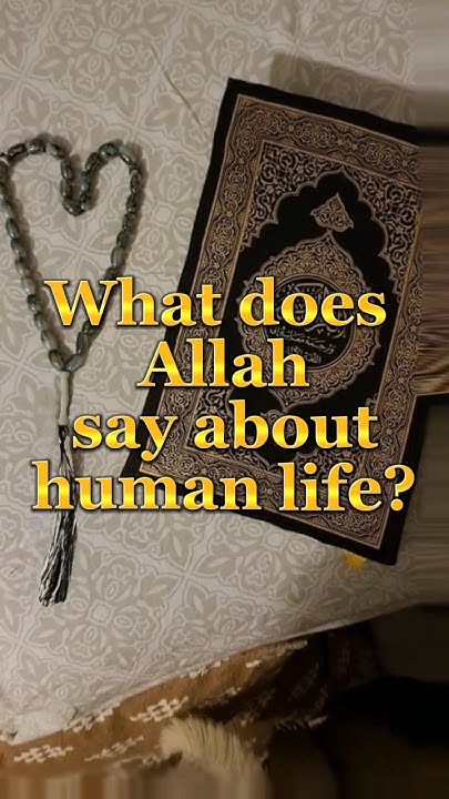 what-does-allah-say-about-human-life-shorts-islam-youtube