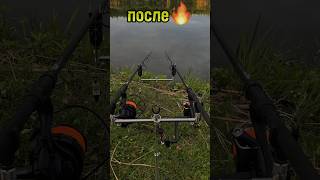 Род-под или буз-бары? #карпфишинг