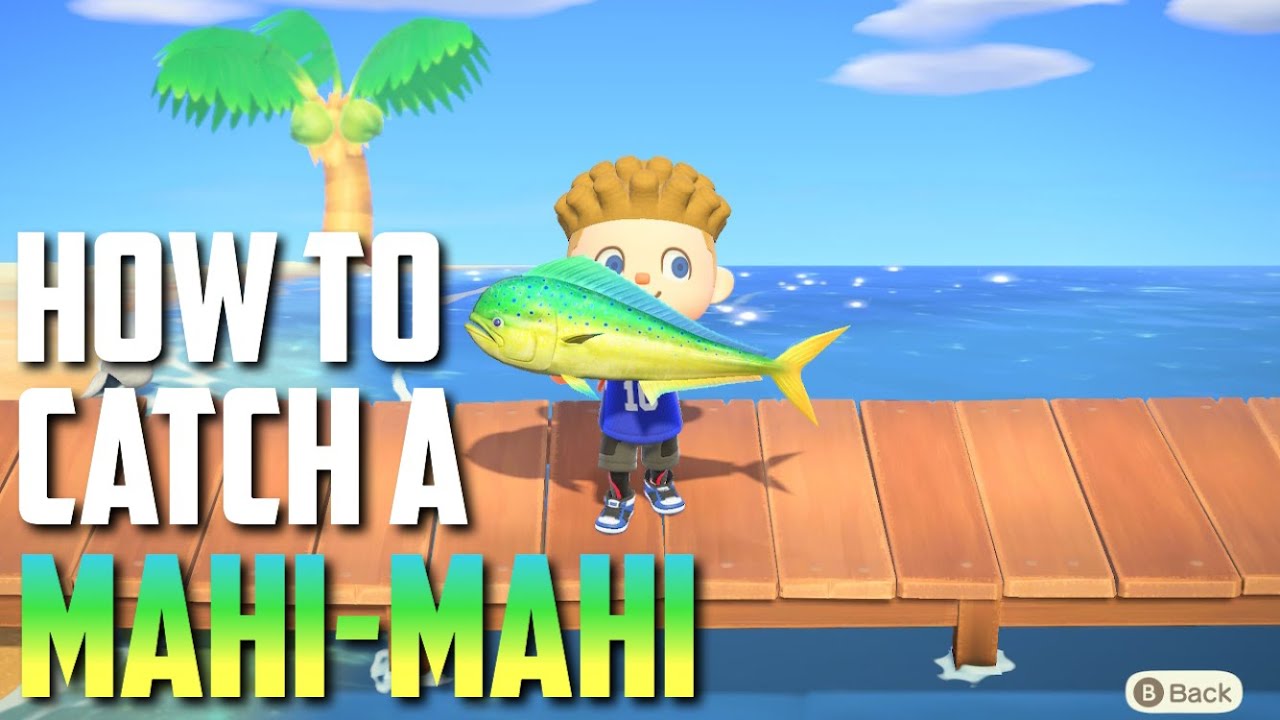 HOW TO CATCH A MAHIMAHI Animal Crossing New Horizons YouTube