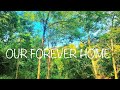 Our Future Homestead Is | Wait Till The End....