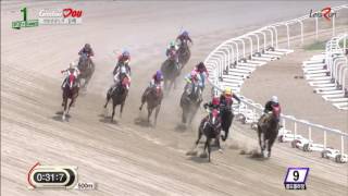 20160715 렛츠런파크 부산경남 1경주 1000m