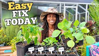 How to Fix Weak Seedlings Fast 👀
