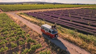 Road Trip en Combi Volkswagen dans les Côtes du Rhône