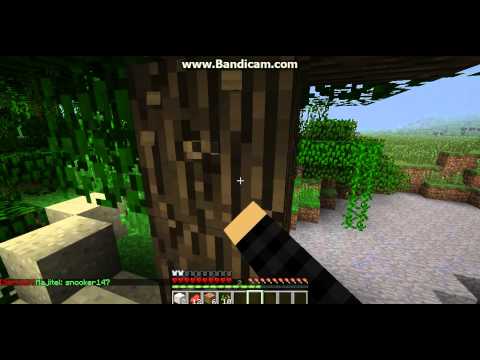 MineCz zacinam :D 1 Díl