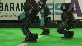 [2013] RoboViz - Demo 1