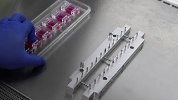 ShellPa Pro - Programmable Cell Stretching System