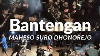 Bantengan Ll Maheso Suro Dhonorejo