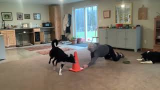 Nina 2 Bg W Cone Distance