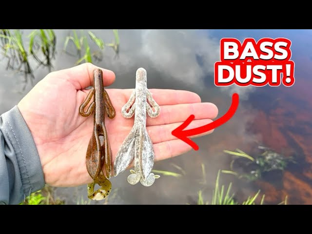 Bass Fishing] Review of the Hiratop 170 [Nories] - the highly