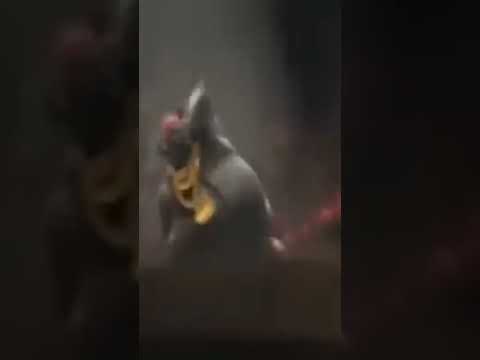 mc-Ratão(o segredo dos animais)kk🤣🤣 - YouTube