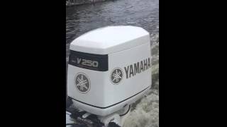 1998 Yamaha OX66 250