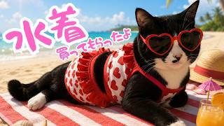 【犬猫と車中泊で行く！】ハウステンボス珍道中