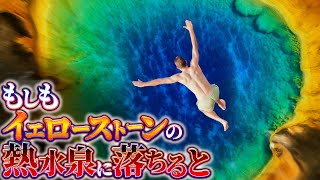 【溶死】イエローストーン国立公園内の熱水泉に落ちた者の末路.....