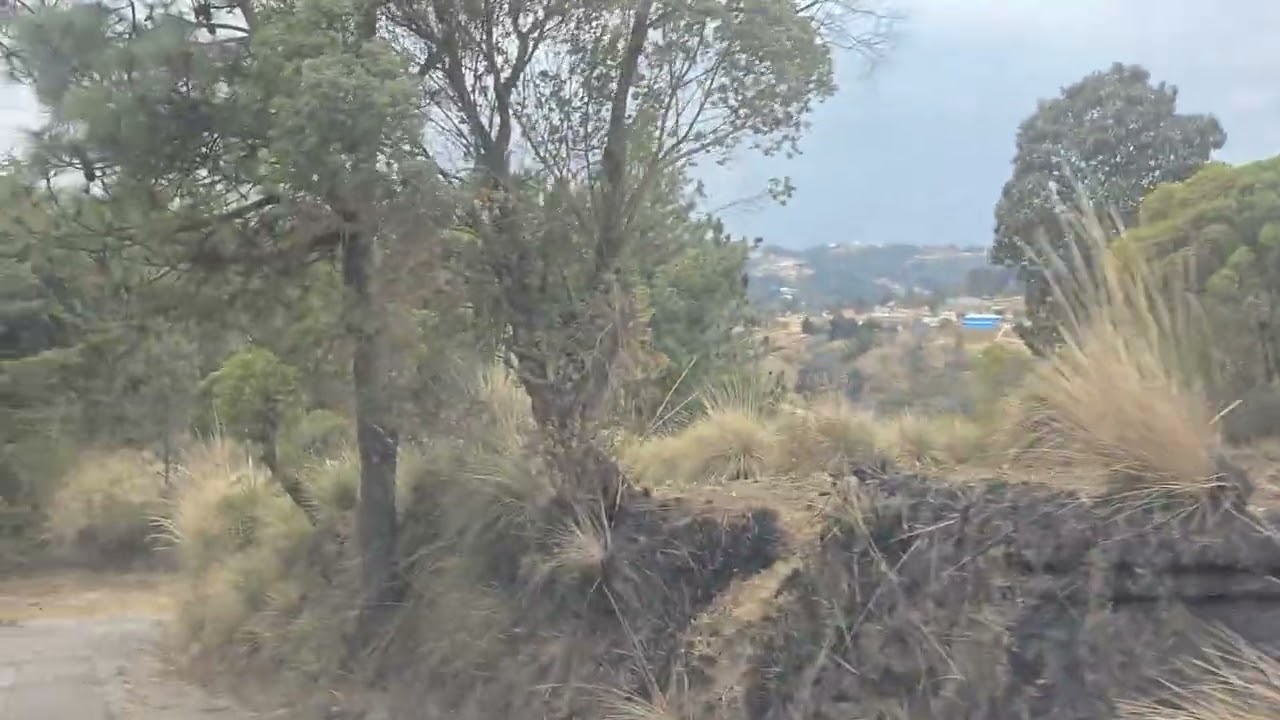 MADRE TIERRA QUE CULTIVAN LOS AGRICULTORES LISTA PARA TRABAJAR Y LUEGO LA SIEMBRA 