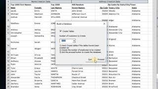 Build Any Size Sample Customer Database Using Excel, Access and VBA