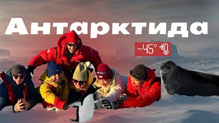 картинка: АНТАРКТИДА | КРАЙ СВЕТА | самый ЗАГАДОЧНЫЙ континент | пингвины, тюлени, киты