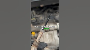 🚨 DPF Blockage Alert: Faulty Exhaust Temperature Sensor Detected 🚨 💨 #ytshorts #car #ford #dpf