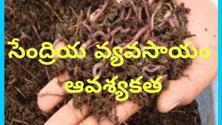 Organic Farming|Organic Methods|Organic  AGRICULTURE |Bio Pesticide | Importance of Organic Farming screenshot 4
