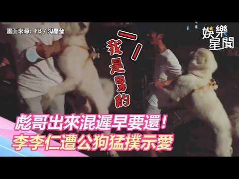 彪哥出來混遲早要還！李李仁遭公狗「猛撲示愛」狂喊：我是男的｜娛樂星世界