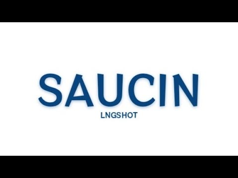 LNGSHOT Saucin Lyrics 