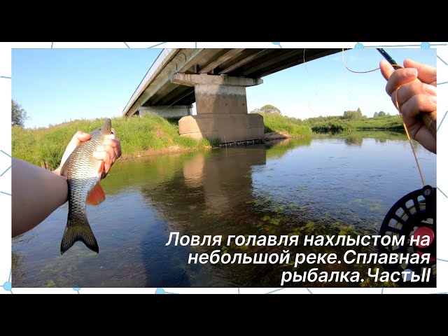 Ловля голавля нахлыстом на небольшой реке. Особенности сплавной рыбалки. Часть II
