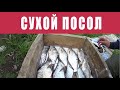 Как вкусно засолить рыбу. Сухой посол.