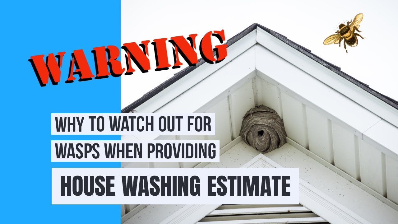 Why To Watch Out For Wasps When Providing House Washing Estimate YouTube