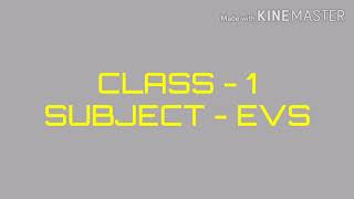 class-1,subject-Evs,chapter-18, "Plants In The Surroundings".
