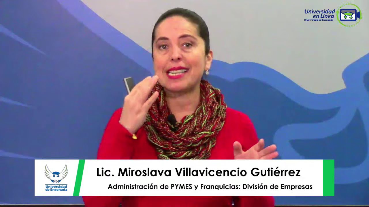 Administración de PYMES y Franquicias: División de Empresas