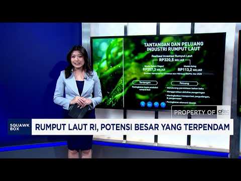 Indonesian Seaweed: A Great Untapped Potential