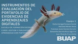 Instrumento de evaluación del portafolio de evidencias digitales – Escuela de Formación Docente BUAP