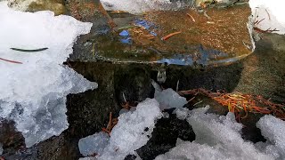 Spadające krople z topniejącego śniegu obok małego potoku. Odgłosy kapania wody. Relaksujące dźwięki
