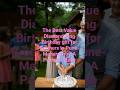 The Best Value Diamond Ring Birthday gift for Brothers in Pune- Maharashtra A Parent's Guide