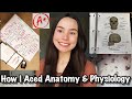 How i aced anatomy  physiology  my study methods prenursing