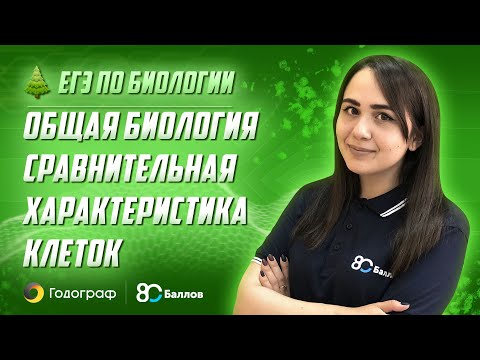 ЕГЭ по Биологии 2022. Общая биология. Сравнительная характеристика клеток