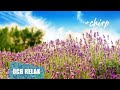 Beautiful Piano Music - Relaxing Music, Study Music, Stress Relief, Sleep Music (Mira)