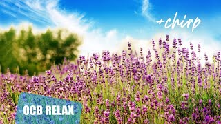 Beautiful Piano Music - Relaxing Music, Study Music, Stress Relief, Sleep Music (Mira)