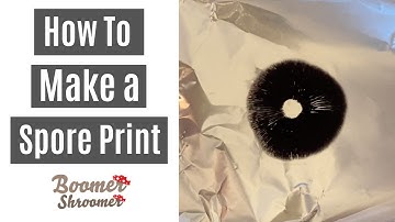 Hoe maak je een sporenprint