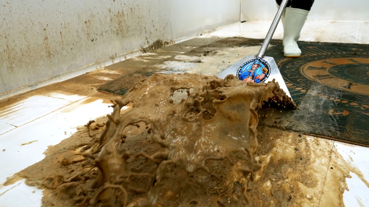 This Carpet Was Sealed in Mud for 60 Years – Watch What Happens in 10 Seconds | Satisfying Video