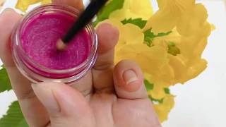 Homemade Natural Lipstick .How to make smooth lipstick with dragon fruit