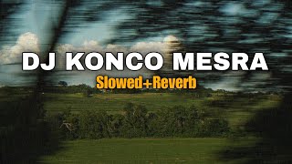 DJ KONCO MESRA (Slowed Reverb)