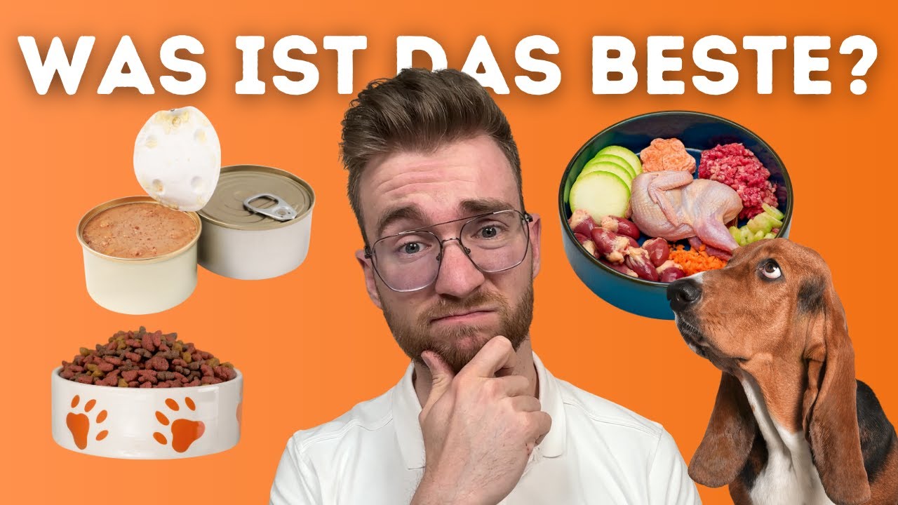 BARF vs Trockenfutter vs Kochen vs Nassfutter? Was ist das Beste für Hunde⁉️🐶🤔