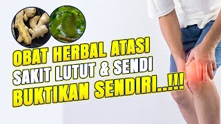 10 Obat Herbal Alami untuk Atasi Sakit Lutut dan Sendi Paling Cepat Efektif!