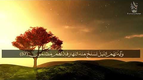 سورة يس 〖ياسين〗 تلاوه خياليه تريح القلب ❤والعقل القارئ زيد الزبيدي Surah Yasin