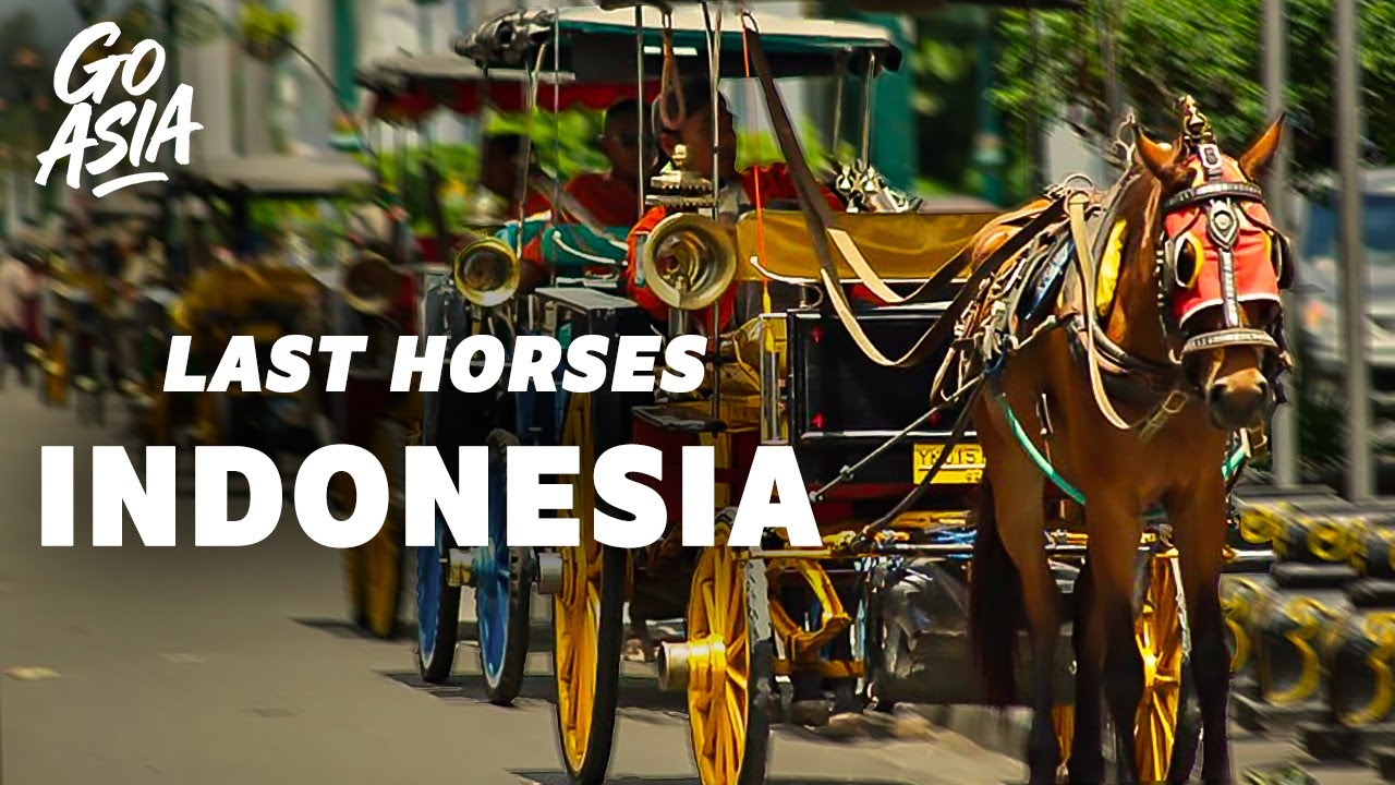 The Last Horse Carriages of Java? - Documentary - HR - YouTube