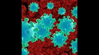 Guess the number of forms of coronavirus out there | SAMAA ORIGINALS | 01 April 2020