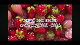 20 января 2024 г.