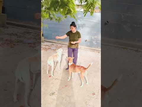 Tu mera hamdard hai👌👌❤️🙏#helpingvideo #humanity #shortsfeed #trending #shortvideos #shortsviral